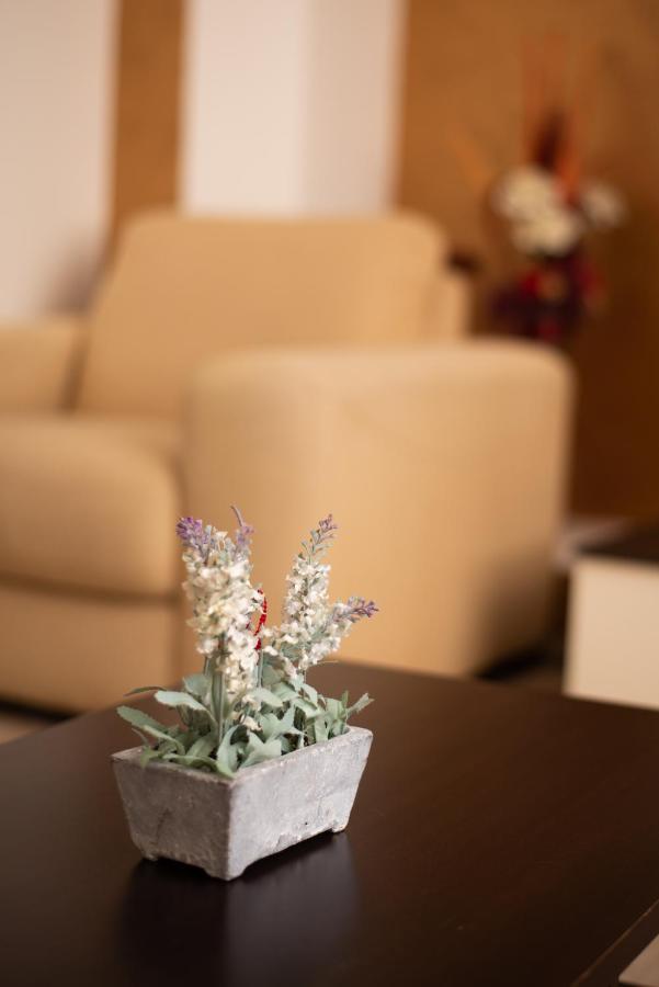 Sibiu Main Square Apartments מראה חיצוני תמונה